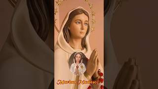 MarianNames8Our Lady Of Rosa MysticaDalia AjiLittleFlowerPuthencruPuthenkurishmariandevotion [upl. by Dnomsaj]