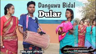 danguwa bidal dular  new santali sohrai video 2024 [upl. by Felic519]