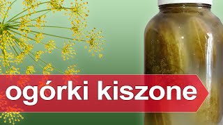 Jak kisić ogórki  domowy sposób na kiszenie ogórków w słoiku ogórki kiszone [upl. by Redep]