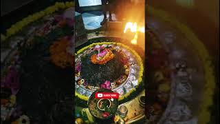 Shri kedareshwar Mahadev Varanasiyoutubeshorts viralvideo kashi [upl. by Calabresi213]