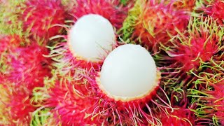 Rambutan The Best Fruit in Bangkok Fruit Market How to eat 🇹🇭Thailand Street Food Tasty Journey [upl. by Noxid728]