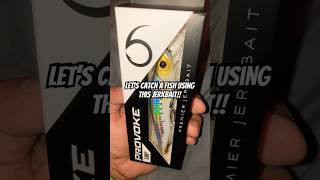 Best JerkBait at Walmart fishing walmart shorts jerkbait fishingshorts bassfish bass [upl. by Michelina434]