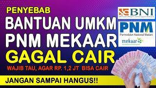 PENYEBAB BANTUAN UMKMBPUM NASABAH PNM Mekar GAGAL CAIR [upl. by Nomad]