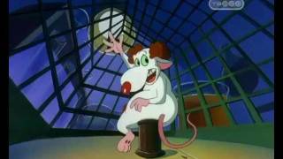 Pinky And The Brain And Larry russian intro П и Б и Ларри [upl. by Mari124]