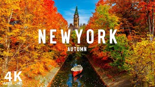 Autumn in New York City 4K UHD  Stunning Fall Foliage Iconic Landmarks and Vibrant Cityscapes [upl. by Atok]