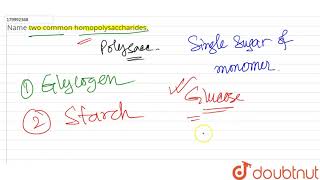 Name two common homopolysaccharides  11  CHEMICAL CONSTITUENTS OF LIVING CELLS BIOMOLECULES [upl. by Asilam437]