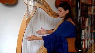 I see fire  Ed Sheeran The Hobbit  harp cover arrangement harpe par Evélina Simon [upl. by Aitnahc49]