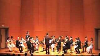 MOZART Symphony No40 1st mov  Musik Siesta 4 [upl. by Rici]