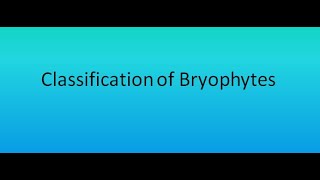 Classification of Bryophytes  For BSc and MSc [upl. by Ornstead]