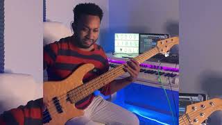 Vivir así es morir de amor  NathyPelusoVEVO Bass cover [upl. by Edals978]