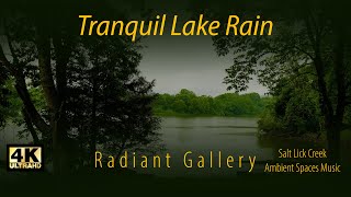 Rainy Lake  Soothing Nature Sounds for Relaxation Study and Sleep [upl. by Simonette]