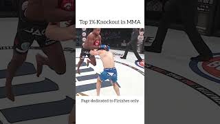 The best flying knee knockout [upl. by Enomrej]