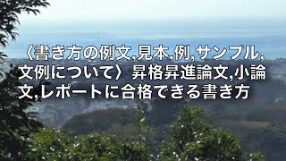 昇進論文 昇格試験論文の書き方例文見本例サンプル文例について｜昇進試験昇格試験の論文小論文レポートに合格できる書き方 VLOG [upl. by Reo642]