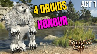 4 Druids VS Honour Mode Act 1  BG3 [upl. by Giliane]