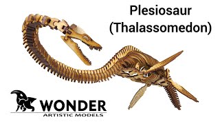 Plesiosaur Thalassomedon 3D Wooden Model Kit  WONDER Artistic Models [upl. by Esdnyl]