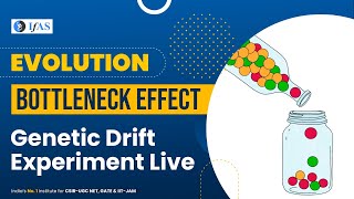 Genetic Drift Experiment Live  Bottleneck Effect  Evolution [upl. by Cirri5]