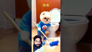 dog floor cleaning funny funnycartoon animatedcartoon [upl. by Haskel]