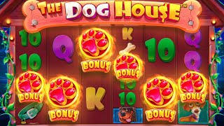 RARE 6 SCATTER BONUS ON DOG HOUSE MEGAWAYS INSANE [upl. by Thanos359]