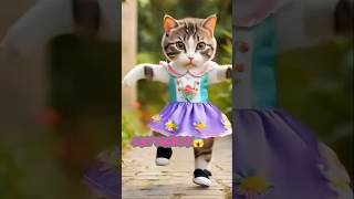 Cat dance😾🐾🥰shorts [upl. by Bremser61]