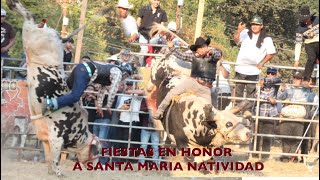 JARIPEO EN HONOR A LA VIRGEN MARIA NATIVIDAD EN MOLALLA OREGON 2024 [upl. by Ettenot908]