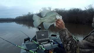 OUACHITA RIVER CRAPPIE FISHING [upl. by Aratnahs520]