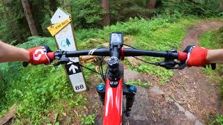 Dalby Forest World Cup Black Route  Best Bits [upl. by Lajet]