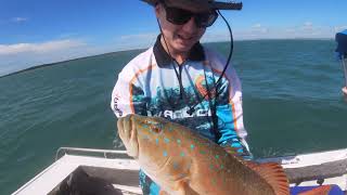 Boyne Tannum Hookup Fishing for CORAL TROUT in terrible weather Gladstone Queensland  Ep  32 [upl. by Harbird]