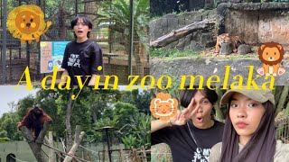 Vlog  Melaka Zoo w Farah🎀 [upl. by Kiryt710]