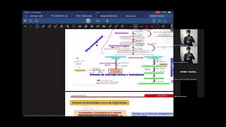 Semana 11 Biosíntesis de triglicéridos [upl. by Roskes200]