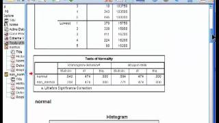 Testing Distributions for Normality  SPSS part 2 [upl. by Drida]