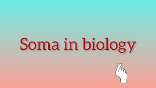 What is Soma in biology [upl. by Anaibaf730]