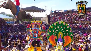 ¡¡TOROS DE RANCHO EL AGUAJE DE SERGIO PELAYO JR JARIPEO EN COENEO MICHOACAN 2017 [upl. by Acissev]