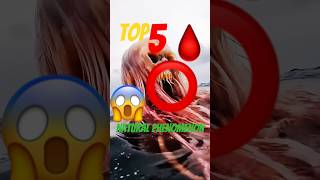 Top 5 Scariest and Deadly Natural Phenomenon😱🤯 [upl. by Akinej]