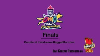 2019 NADAC Championships Finals [upl. by Iphagenia]