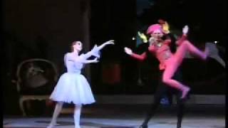 1989 Bolshoi Ballet Nutcracker excerpts 312 by GrigorovichTchaikovsky  The Nutcracker Doll [upl. by Notgnirrac]