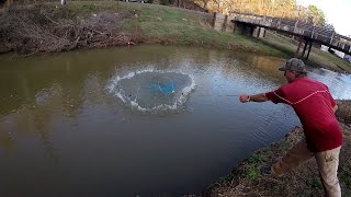 Catching Minnows With A Cast Net [upl. by Linc735]