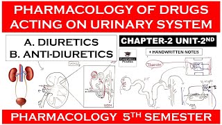 Diuretics amp Antidiuretics  Pharmacology of Drugs Acting on Urinary System  Pharmacology 5th sem [upl. by Sidnal106]