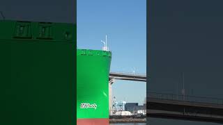 newyork 🇺🇸🗽new ship original shiplovers trending subscribe evergreen NYCharly [upl. by Yemaj]