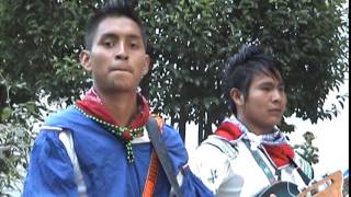 VIENTO HUICHOL 2015 NUEVO [upl. by Ulda]