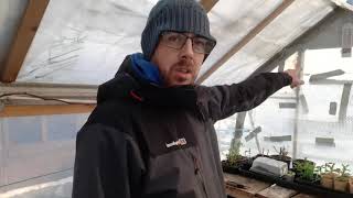 JAYS Allotment Diary 1422021 GARDEN UPDATE [upl. by Neona6]