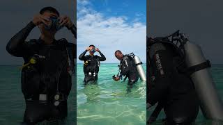 Scuba Diving Course in Pemba Island Tanzania scubadiving pemba padicourses [upl. by Norraj]