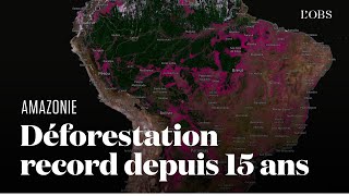 Amazonie  visualisez la déforestation à son plus haut niveau depuis 15 ans [upl. by Paolina]