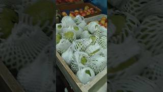 Fresh fruits  Laction Miran Sahib fresh fruits trending shorts [upl. by Enilec]