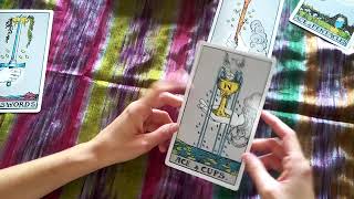 🍎1 ARCANOS MENORES AS DE BASTOS COPAS OROS ESPADAS• CURSO TAROT [upl. by Hamel]