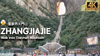 Tianmen Mountain Zhangjiajie Hunan🇨🇳 The Most Amazing Mountain in China 4K HDR [upl. by Onaimad]