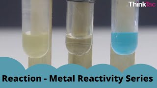 Reaction  Metal Reactivity Series  ThinkTac  DIY Science [upl. by Toni]