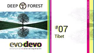 Deep Forest  Tibet Evo Devo 2016 [upl. by Gerladina18]