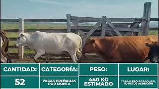 52 Vacas Preñadas [upl. by Nevag]