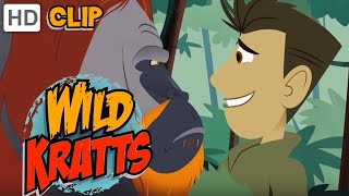 Wild Kratts  Orangutan Approved [upl. by Adnawyek94]