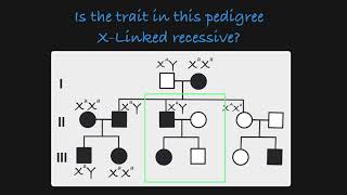 XLinked Recessive Traits in a Pedigree [upl. by Rist]